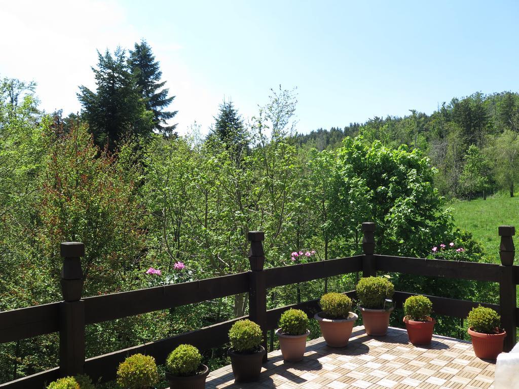 Apartments Montana Fuzine Bagian luar foto